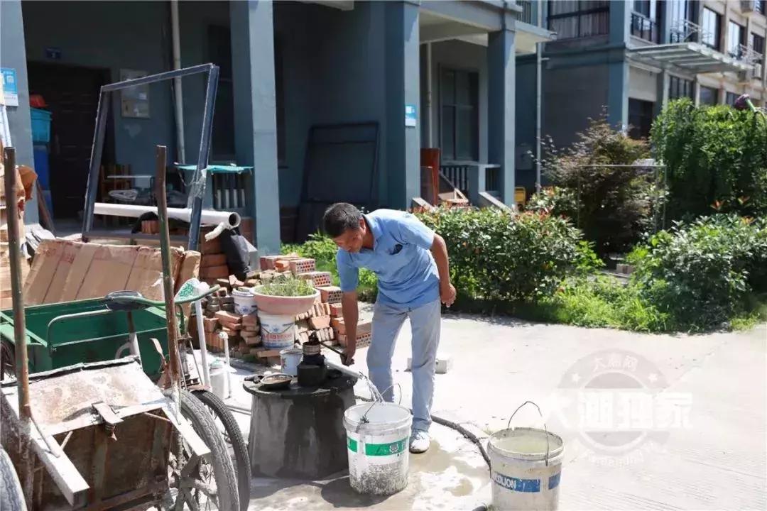千万别大意！这户人家挖出成千上万蠕动的……房子下面还有十几个窝……