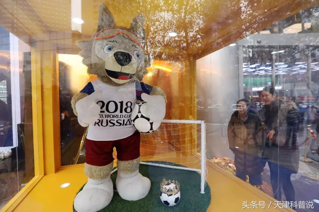 世界杯你一定要知道的知识,2014年世界杯