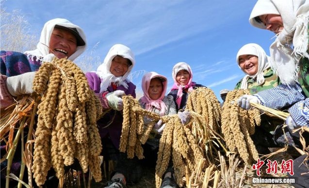 国家节日放假各几天,每年国家法定节日放假多少天
