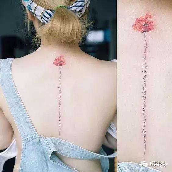 纹身素材视频,纹身素描手稿线条