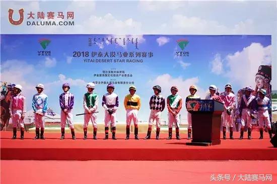 马术比赛纯血马,2018蒙古赛马传统耐力赛视频
