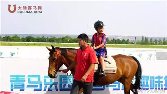 马术比赛纯血马,2018蒙古赛马传统耐力赛视频