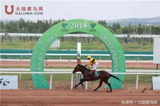 马术比赛纯血马,2018蒙古赛马传统耐力赛视频
