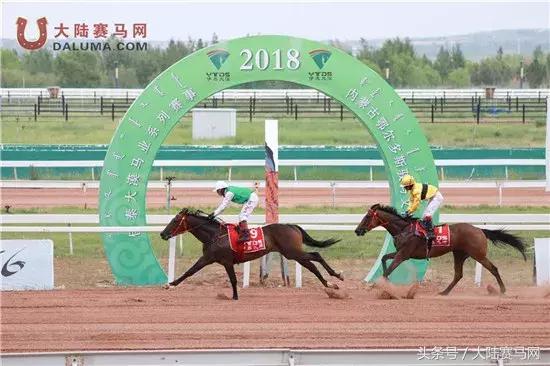 马术比赛纯血马,2018蒙古赛马传统耐力赛视频