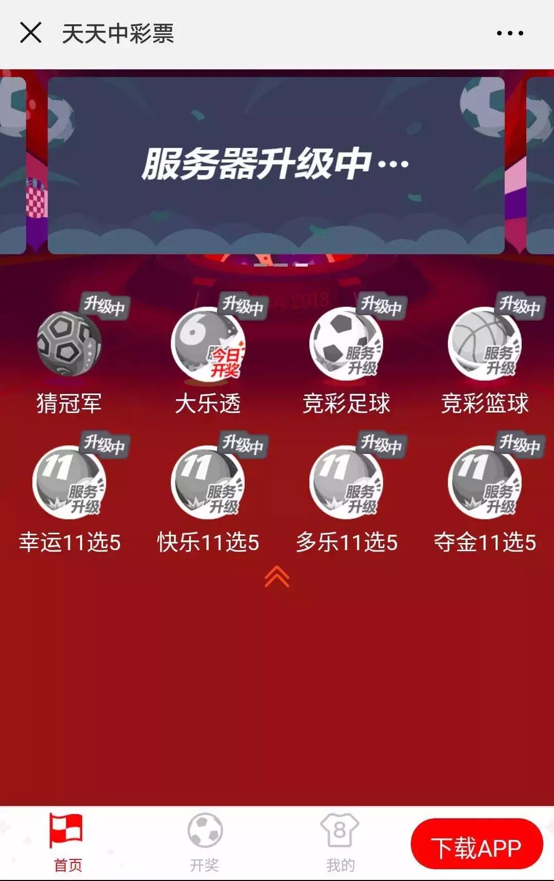 疯狂的网络赌博,疯狂的网赌