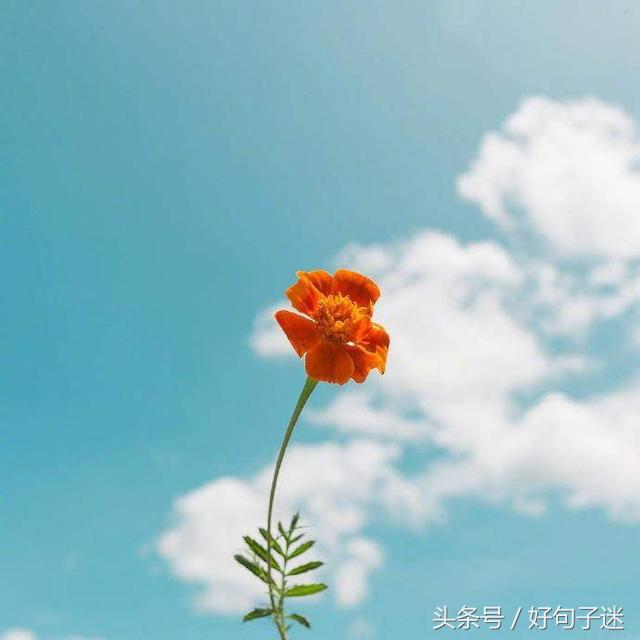 失恋伤感心碎句子说说心情,撕心裂肺失恋伤感句子说说