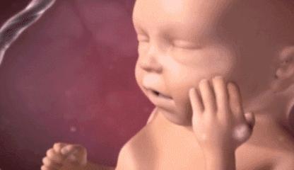 胎宝在孕妈肚子里流口水,胎宝宝在妈妈肚子里忙什么