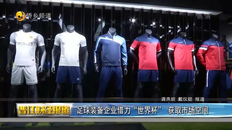 舒莱狮足球怎么样,舒莱狮世界杯收入