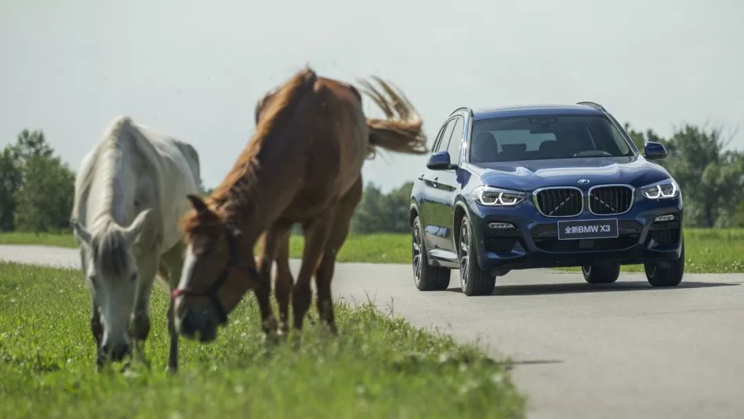 杩旈亾鑰岃鍏ㄦ柊bmwx3,鍏ㄦ柊bmwx3浼樼鍒拌浣犳寫涓嶅嚭姣涚梾