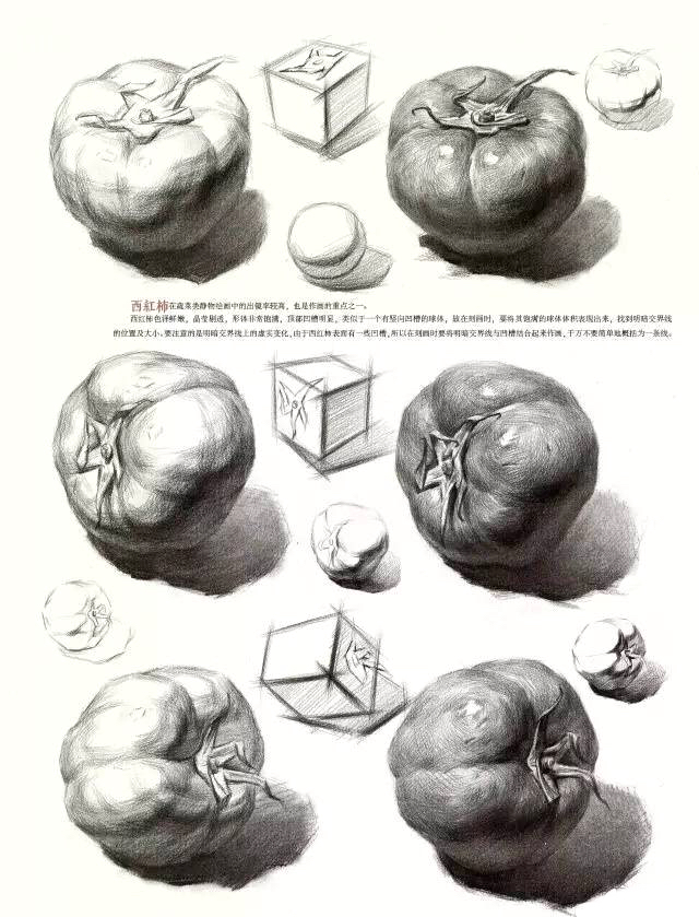 素描静物单体练习精品教程，非常详细，美术生看了都说好！