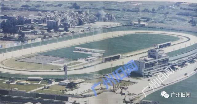 「广州百年赛马系列③」戛然而止！广州赛马何去何从？-1赛马网