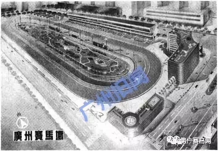 「广州百年赛马系列③」戛然而止！广州赛马何去何从？-1赛马网