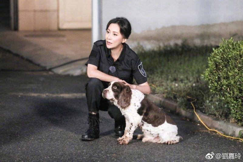王祖蓝投资tvb,王祖蓝代言费是多少