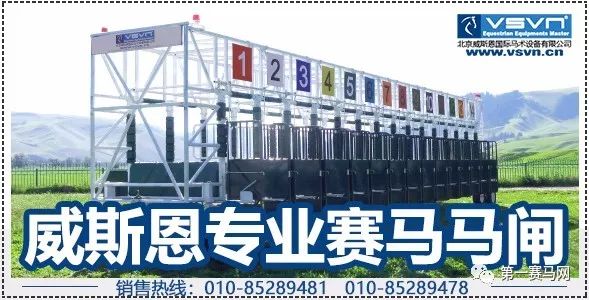 「直播」“体彩杯”内蒙古国际速度马邀请赛暨内蒙古第五届国际马术节内蒙古莱德马业站9月15日即将隆重开幕！——1赛马网