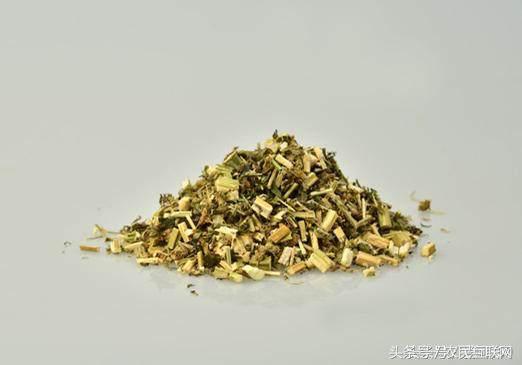 农村随处可见的益母草，对女人竟然这么重要