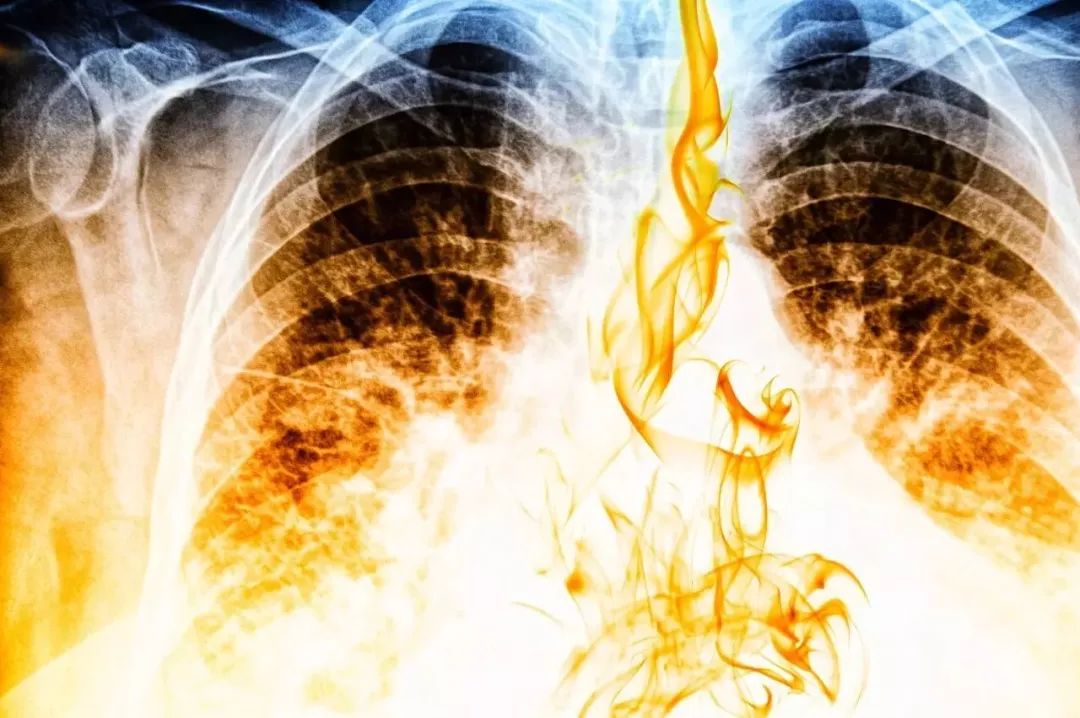 生气后各种器官变化视频,生气后各大器官会发生什么