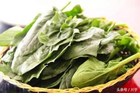不吃“苦”，怎么瘦？这几种苦味食物，助你轻松拥有好身材！