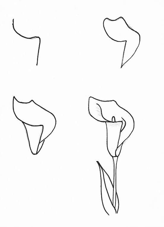 零基础领会简笔画花朵入门,简笔画花卉大全简单小学生