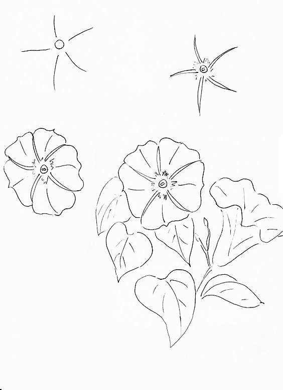 零基础领会简笔画花朵入门,简笔画花卉大全简单小学生