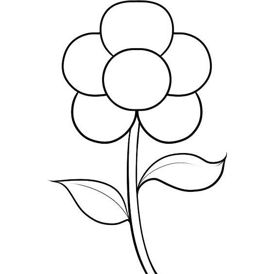 零基础领会简笔画花朵入门,简笔画花卉大全简单小学生
