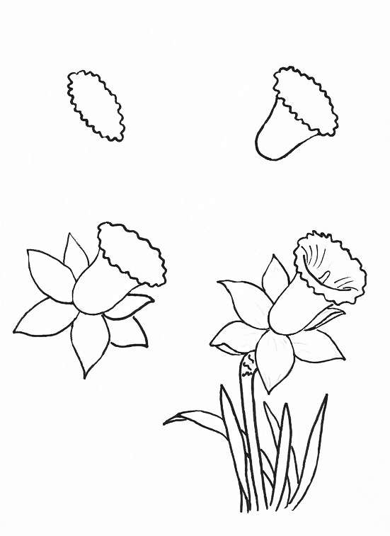 零基础领会简笔画花朵入门,简笔画花卉大全简单小学生