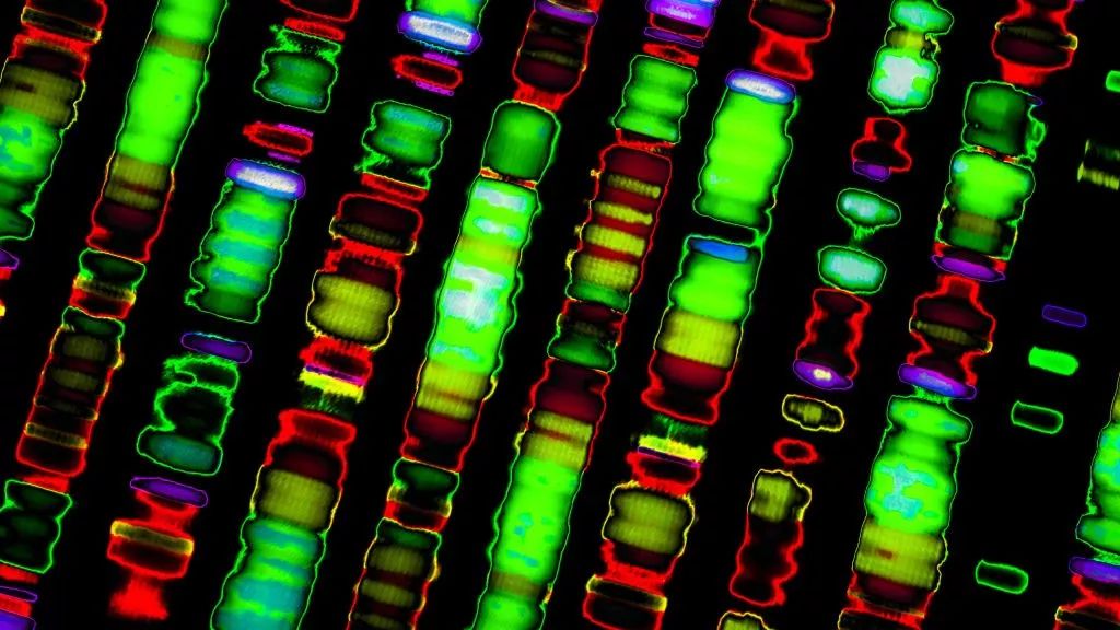 科学家发现癌症新突破,医学新发现癌症最新突破
