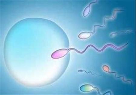 只有一边输卵管精子卵子怎么结合,精子只有一个能结合吗