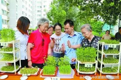 怎么样能纸上种菜,纸上种菜是什么