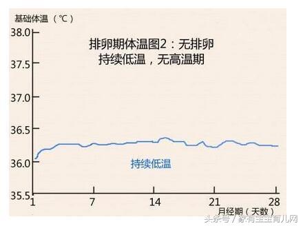 排卵期和排卵日有什么表现症状,排卵期和排卵日症状有啥区别