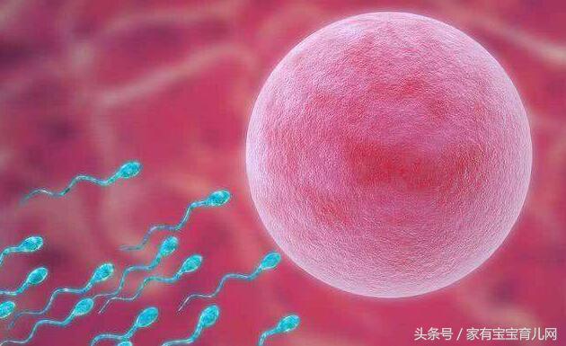 排卵期和排卵日有什么表现症状,排卵期和排卵日症状有啥区别