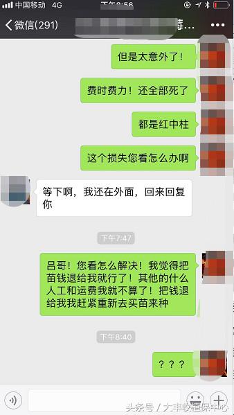 种草莓1年苗还是两年苗好,种草莓老苗好还是新苗好