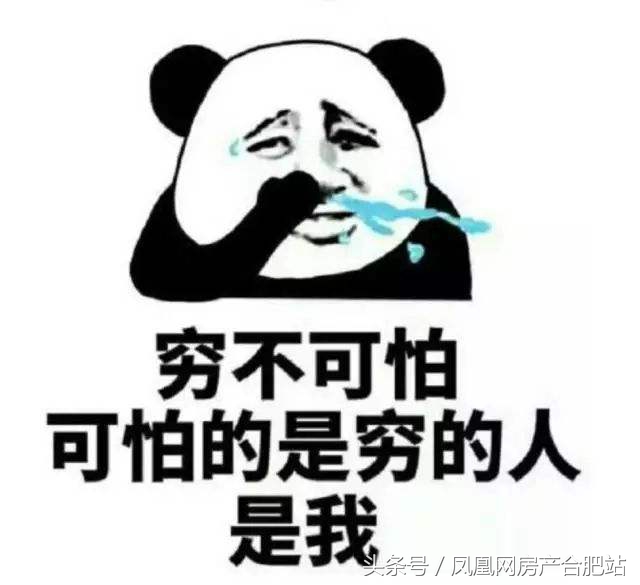 很多人挤破脑袋都想进的学校,合肥挤破头想进的9所小学