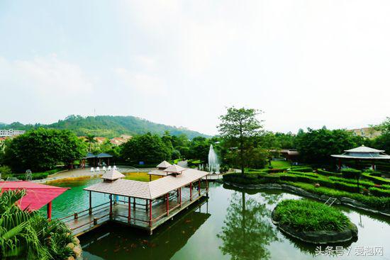 韶关南华寺曹溪温泉,韶关南华寺旅游攻略