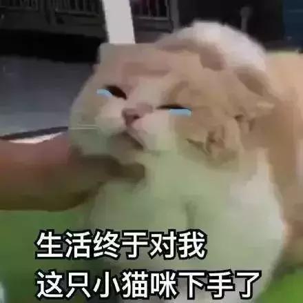 假代购店鉴别干货,假代购是不是骗局