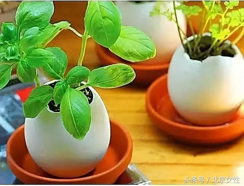 乐活赚钱快吗,乐活赚钱安全吗