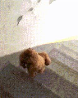 幼儿园点名多了个娃，孩子：舅舅送错了；淄博一条金鱼卖出9.6万；山东多个景区今起对教师免费