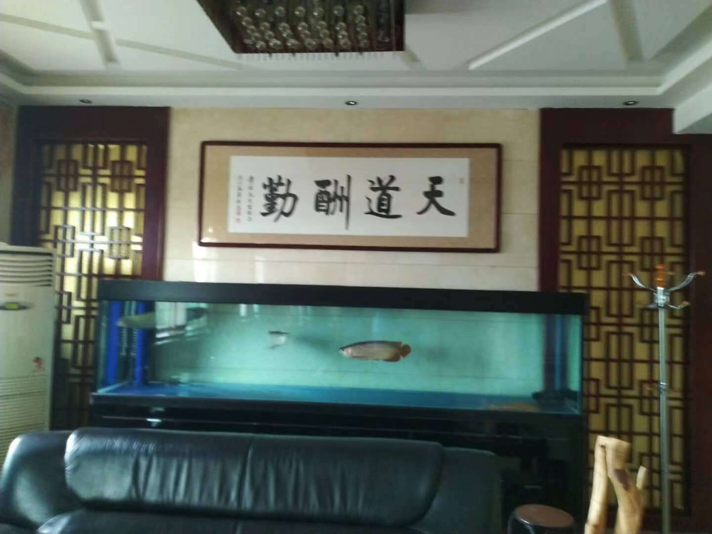 大字道法自然书法一般挂在哪里,直幅书法一般挂哪里
