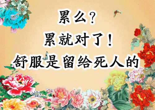 会动的图片大全大图,会动的花动态图片