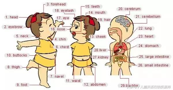 生活常用语英语配图,生活中常见英语缩略词图集
