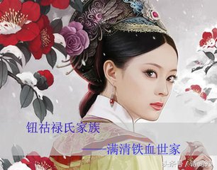 清朝皇子爵位官袍等级排列,满清后宫级别对照表