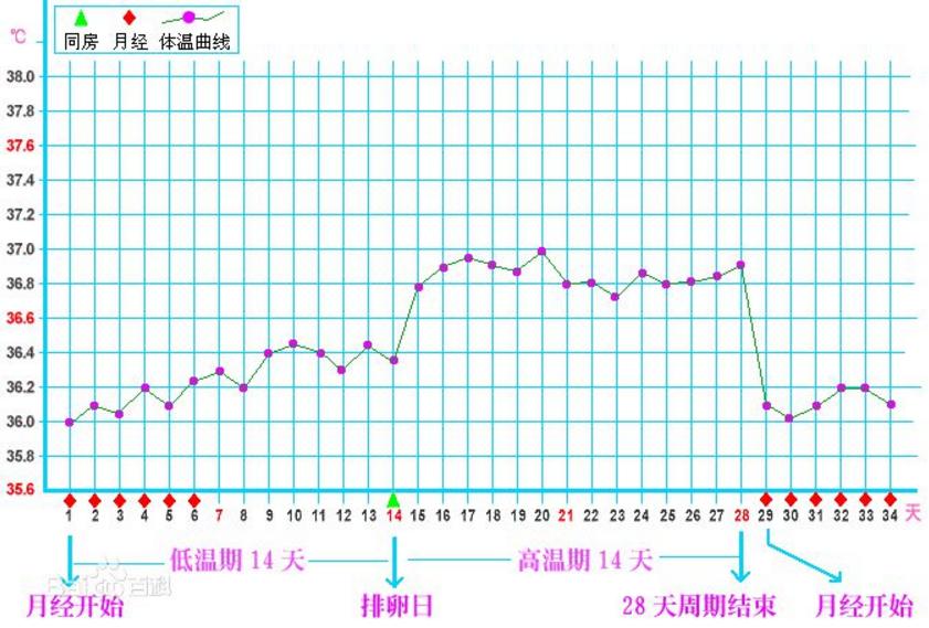 科学备孕把握排卵期事半功倍,备孕怀孕小贴士