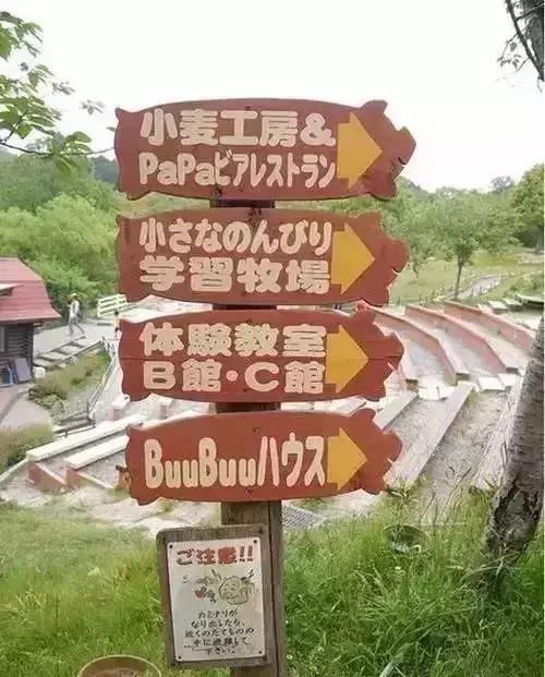 日本农产品非常好的原因,日本高端农产品