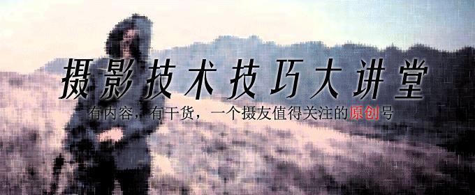 拍鸟的10个拍摄技巧,拍鸟摄影技巧和方法