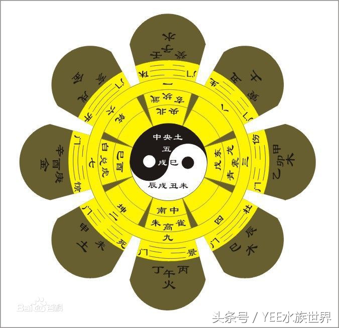 鱼缸摆放位置风水讲究正对门,摆放鱼缸养鱼跟风水真有关系吗