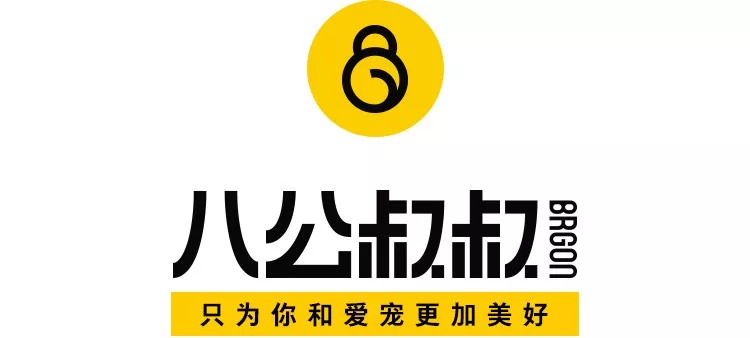 小心！这九大致死原因很容易从铲屎官手上掳走狗子！