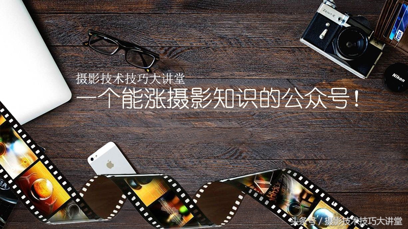拍鸟的10个拍摄技巧,拍鸟摄影技巧和方法