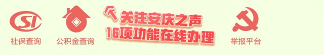 第9届中国安庆黄梅戏艺术节,第九届中国安庆黄梅戏艺术节