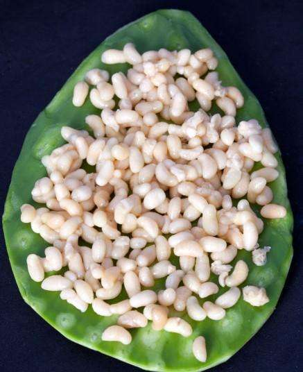 世界各地奇葩食物排名,世界奇葩美食视频