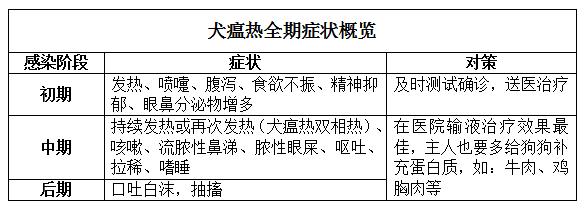 狗狗发烧便脓血怎么办,狗狗发烧流鼻涕