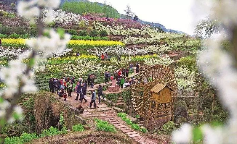 明天放假了~眉山交警送你一份出行路况指南，一定要认真看……